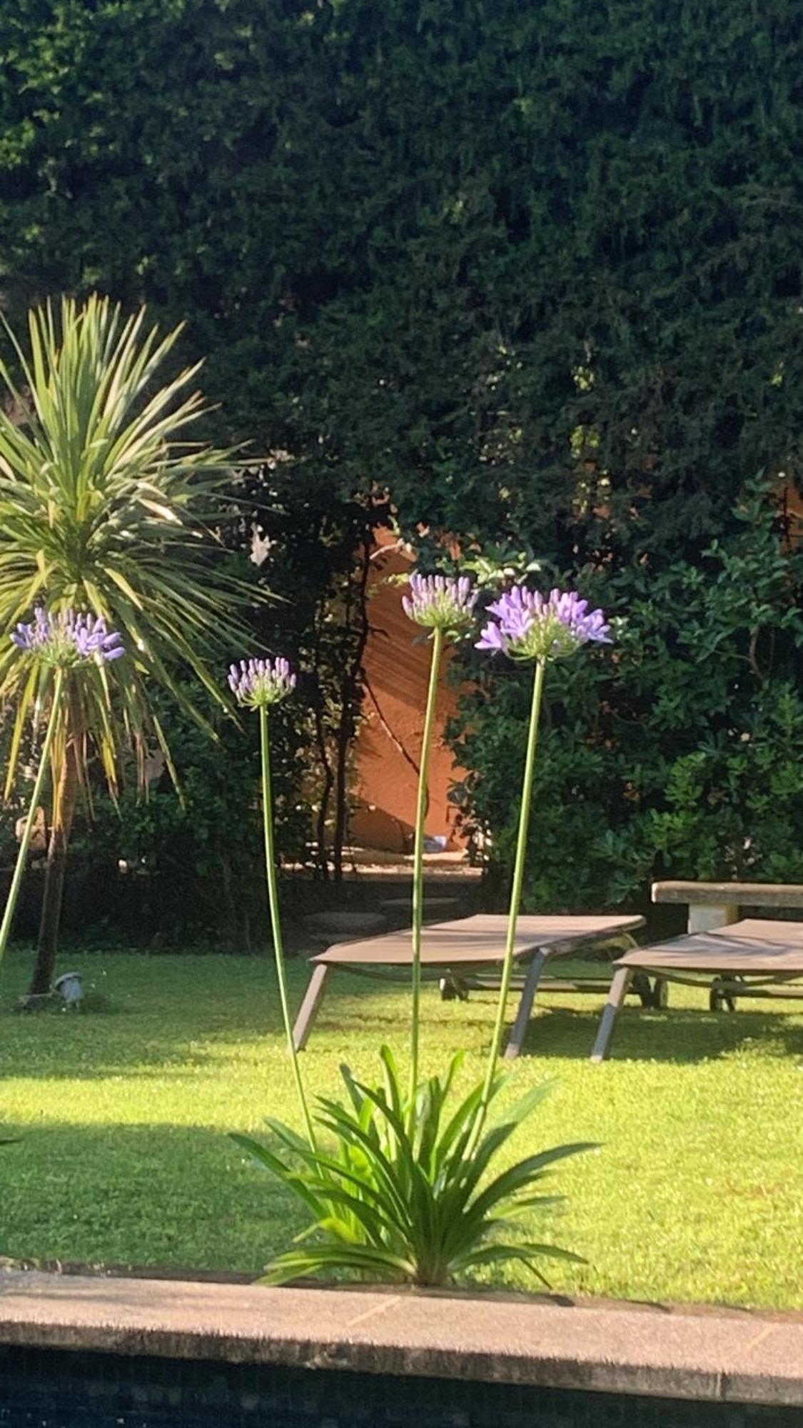La Demeure Bed & Breakfast Eyguieres Exterior photo